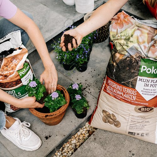 Pokon Bio Potgrond Terras & Balkon Planten - 40L - afbeelding 5