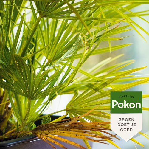 Pokon Bio Tegen Hardnekkige Insecten Polysect Concentraat 175ml - afbeelding 6