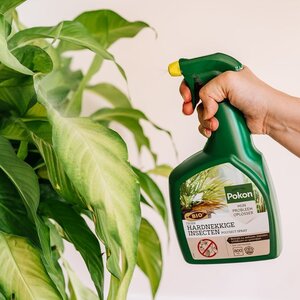 Pokon Bio Tegen Hardnekkige Insecten Polysect Spray 800ml - afbeelding 3