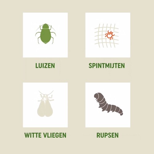 Pokon Bio Tegen Hardnekkige Insecten Polysect Spray 800ml - afbeelding 5