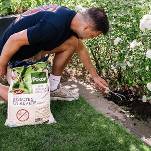 Pokon Bio Tegen Insecten en Kevers Compost 20L - afbeelding 3