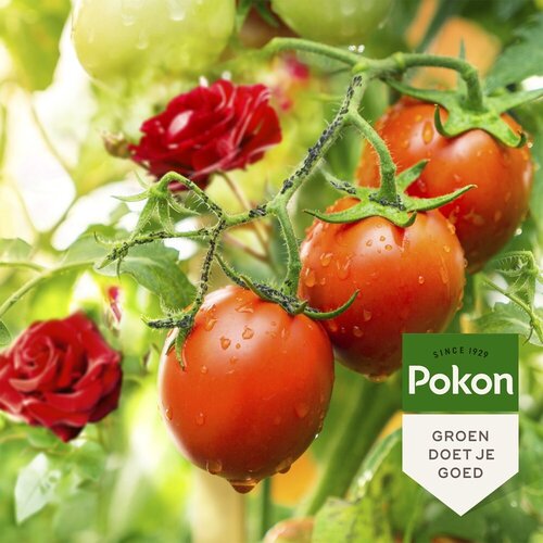 Pokon Bio Tegen Insecten Polysect GYO Spray 800ml - afbeelding 3