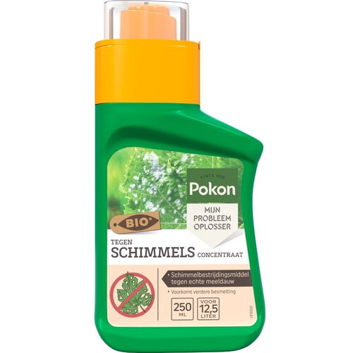 Pokon Bio Tegen Schimmels Concentraat 250ml - afbeelding 1