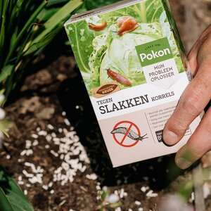 Pokon Bio Tegen Slakken Korrels 450gr - afbeelding 6