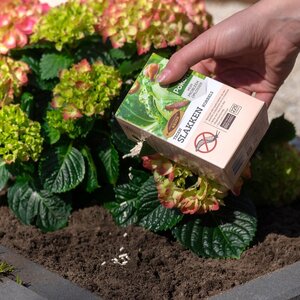 Pokon Bio Tegen Slakken Korrels - 900gr - afbeelding 4