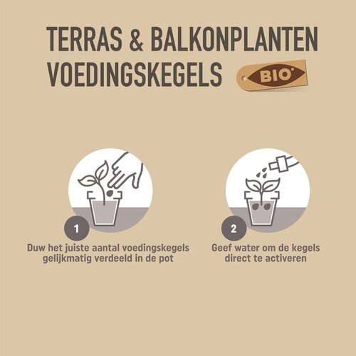 Pokon Bio Terras & Balkon Planten Voedingskegels 15 stuks - afbeelding 3