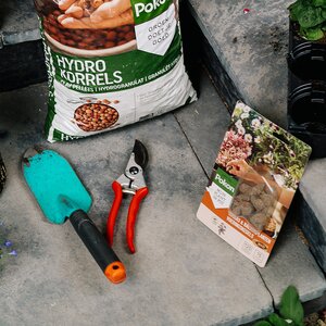 Pokon Bio Terras & Balkon Planten Voedingskegels 15 stuks - afbeelding 5