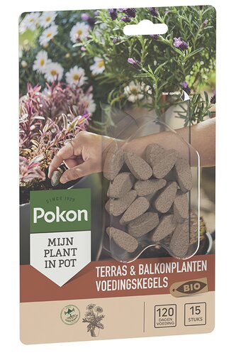 Pokon Bio Terras & Balkon Planten Voedingskegels 15 stuks - afbeelding 2