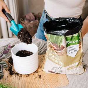 Pokon Bio Turfvrije Kamerplanten Potgrond 10L - afbeelding 6