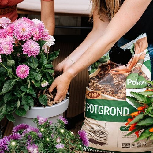 Pokon Bio Turfvrije Potgrond 30L - afbeelding 5