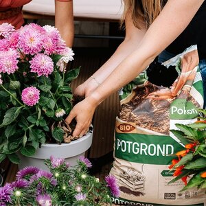 Pokon Bio Turfvrije Potgrond 30L - afbeelding 5