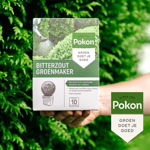 Pokon Bitterzout Groenmaker 500g - afbeelding 4