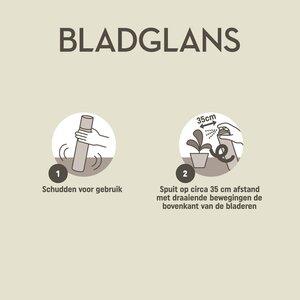 Pokon Bladglans 600ml - afbeelding 4