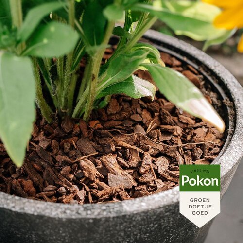 Pokon Boomschors Excellent 10L - afbeelding 4