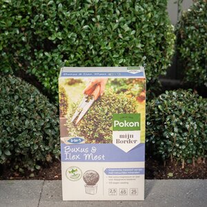 Pokon Buxus & Ilex Mest 1kg - afbeelding 4