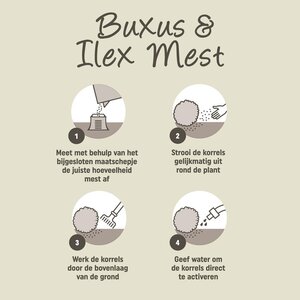 Pokon Buxus & Ilex Mest - 1kg - afbeelding 3