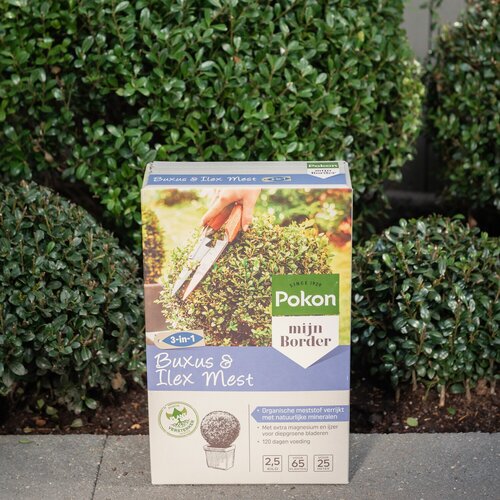 Pokon Buxus & Ilex Mest 2,5kg - afbeelding 4