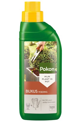 Pokon Buxus Voeding 500ml - afbeelding 1