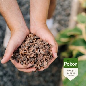 Pokon Cacaodoppen 40L - afbeelding 3