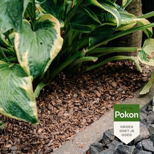 Pokon Cacaodoppen 40L - afbeelding 4