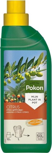 Pokon Citrus Plant Food 250ml - afbeelding 1