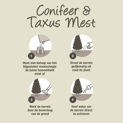 Pokon Conifeer & Taxus Mest 2,5kg - afbeelding 4
