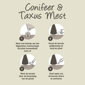 Pokon Conifeer & Taxus Mest 2,5kg - afbeelding 4
