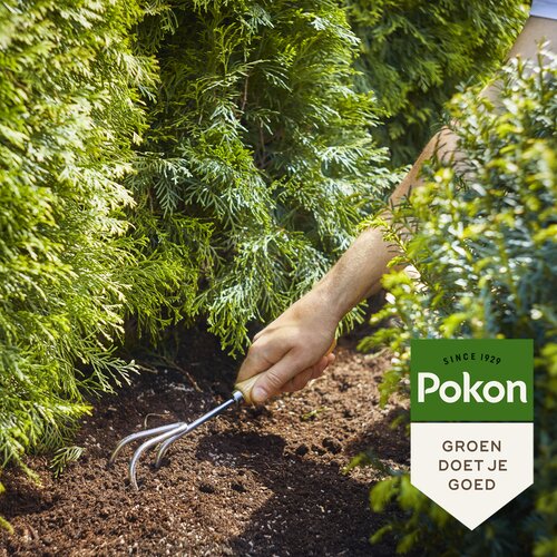 Pokon Conifeer & Taxus Mest 2,5kg - afbeelding 5