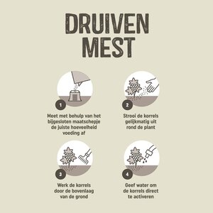 Pokon Druiven Mest 1kg - afbeelding 3