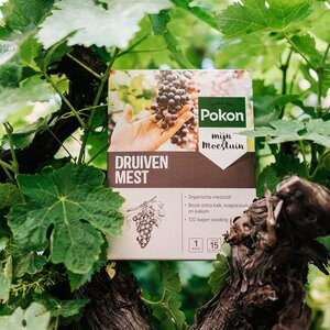 Pokon Druiven Mest 1kg - afbeelding 6