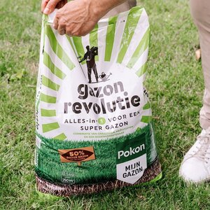 Pokon Gazon Revolutie 4kg - afbeelding 13