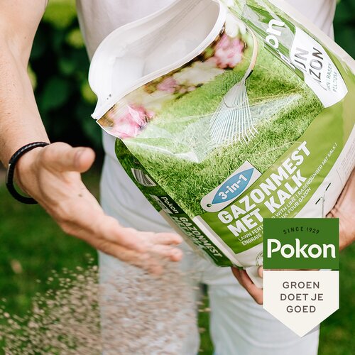Pokon Gazonmest met Kalk 1kg voor 15mВ - afbeelding 4