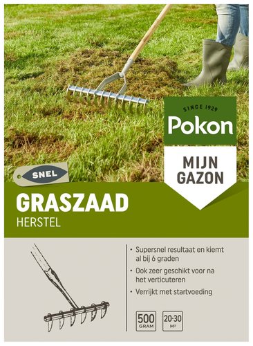 Pokon Graszaad Herstel SOS 500gr