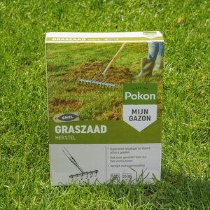 Pokon Graszaad Herstel SOS 1kg - afbeelding 3