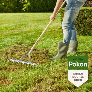 Pokon Graszaad Herstel SOS 250gr - afbeelding 7