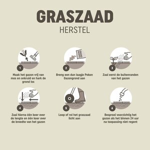 Pokon Graszaad Herstel SOS 250gr - afbeelding 8