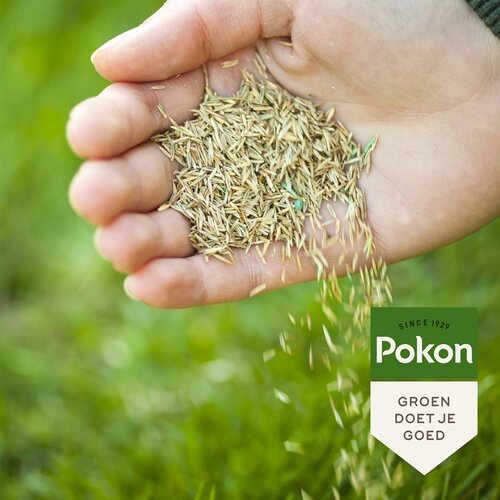 Pokon Graszaad Herstel SOS 2kg - afbeelding 6