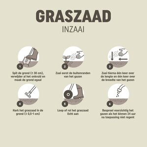 Pokon Graszaad Inzaai 500gr - afbeelding 4