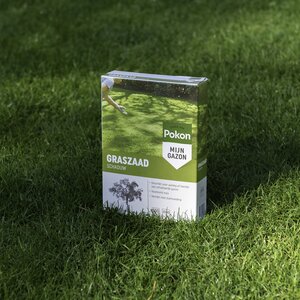 Pokon Graszaad Schaduw 500gr - afbeelding 5