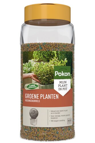 Pokon Groene Planten Voedingskorrels 800gr OP=OP - afbeelding 1
