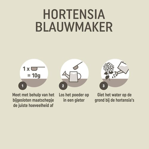 Pokon Hortensia Blauwmaker 500g - afbeelding 3