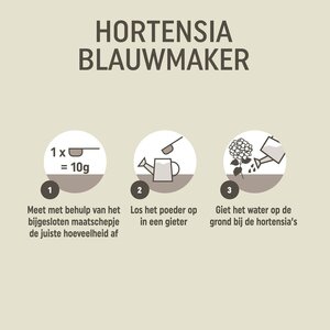 Pokon Hortensia Blauwmaker 500g - afbeelding 3