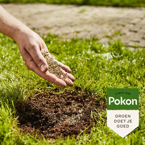 Pokon Kale Plekken Hersteller 200gr - afbeelding 4