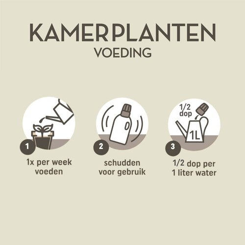 Pokon Kamerplanten Voeding 1L - afbeelding 3