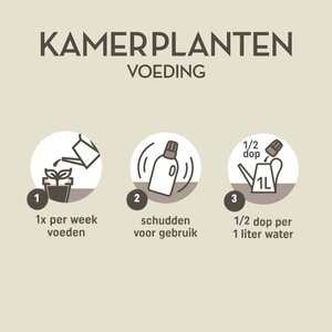 Pokon Kamerplanten Voeding 1L - afbeelding 3