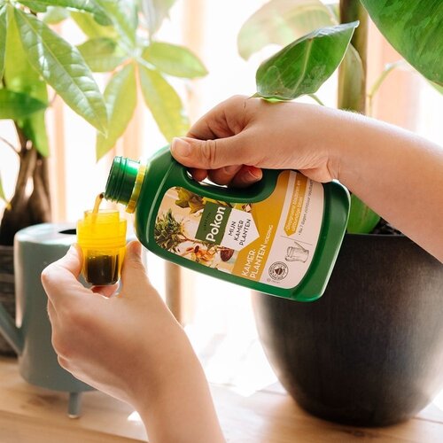 Pokon Kamerplanten Voeding 1L - afbeelding 4