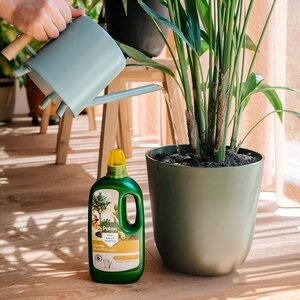 Pokon Kamerplanten Voeding 1L - afbeelding 5