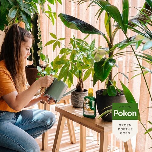 Pokon Kamerplanten Voeding 1L - afbeelding 6