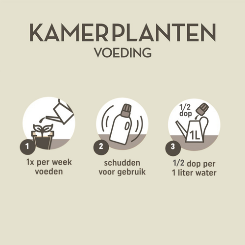 Pokon Kamerplanten Voeding 500ml - afbeelding 3