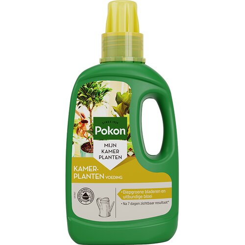 Pokon Kamerplanten Voeding - 500ml - afbeelding 1